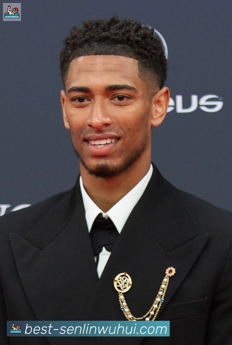 维尼修斯